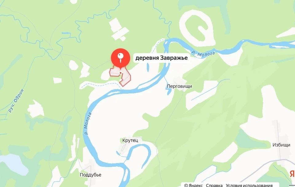 Поиски ведутся на реке Мологе. Карты Яндекс.