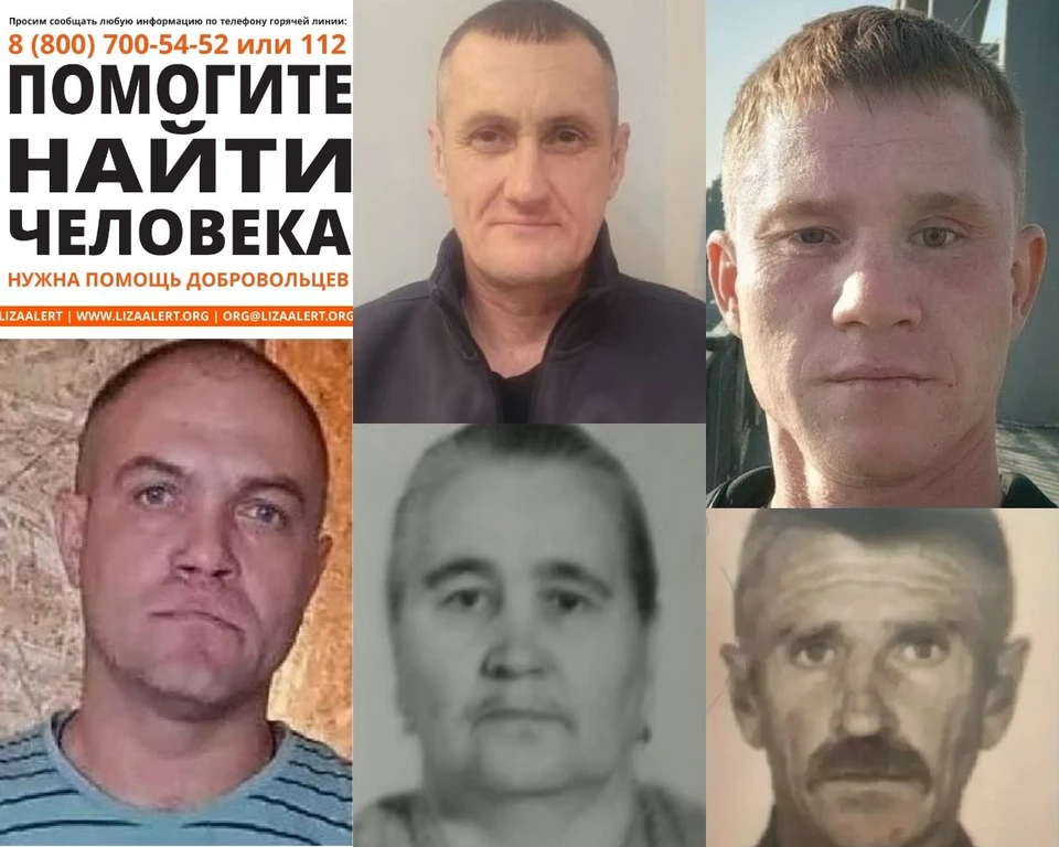 Фото опубликованы ПСО "ЛизаАлерт".