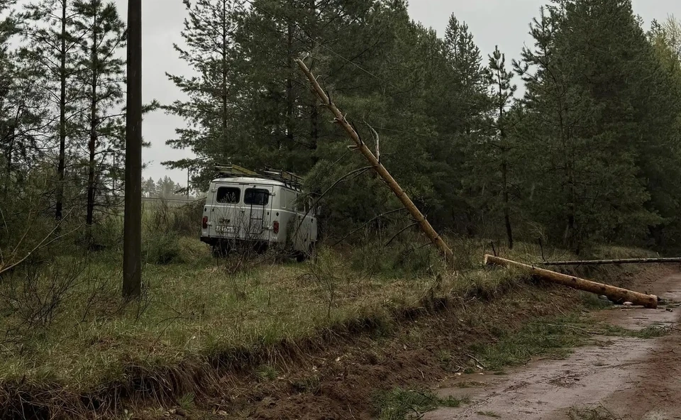 ЧП произошло, когда рабочие спиливали деревья, упавшие на линию электропередач.