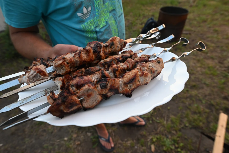За разведение костров и жарку мяса на мангалах омичам грозят штрафы до 20 тысяч