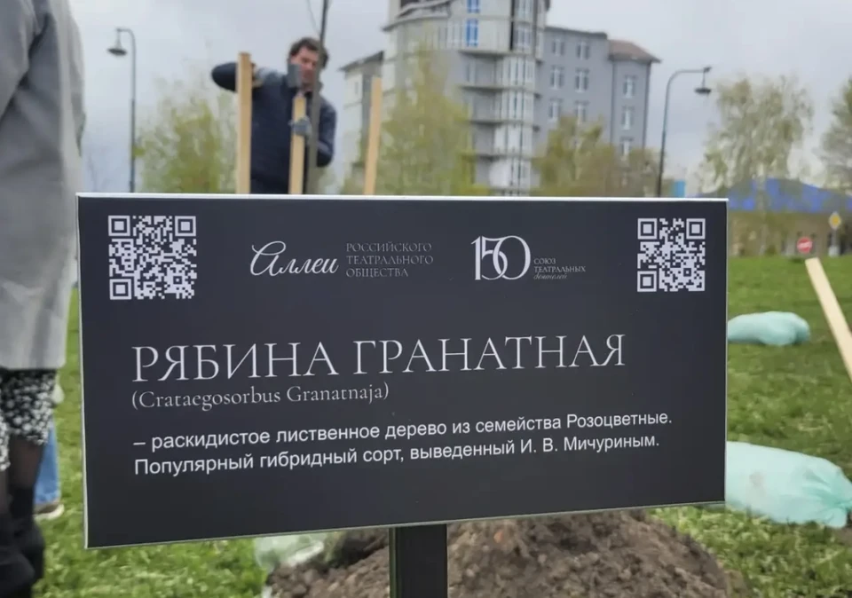 фото минкульта Воронежской области