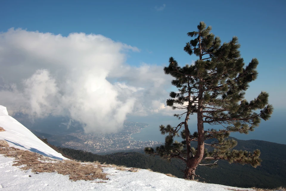 Плато Ай-Петри в Крыму засыпало снегом