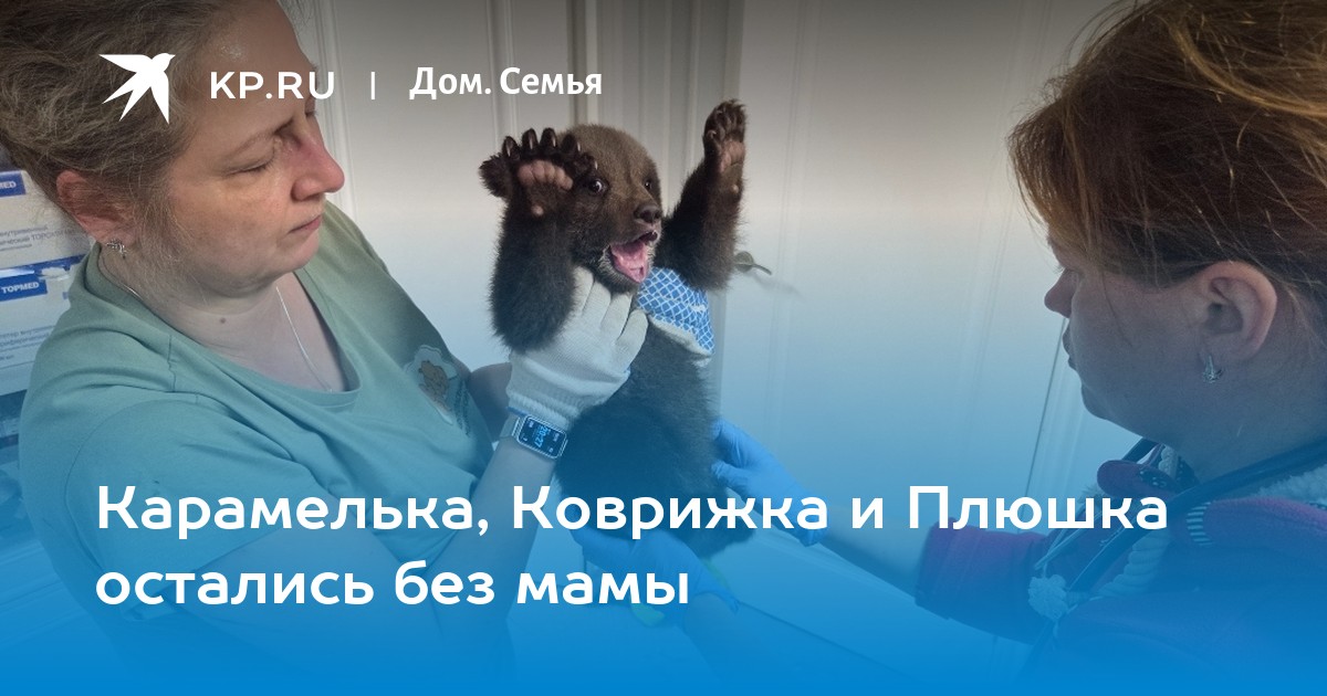 Карамелька, Коврижка и Плюшка остались без мамы