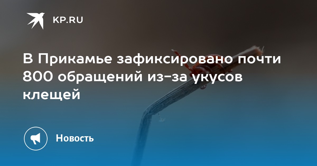 В Прикамье зафиксировано почти 800 обращений из-за укусов клещей