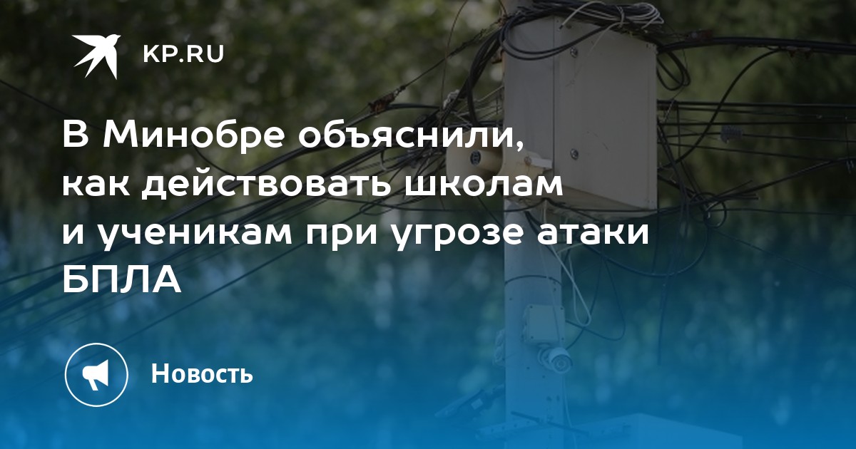 В Минобре объяснили, как действовать школам и ученикам при угрозе атаки БПЛА
