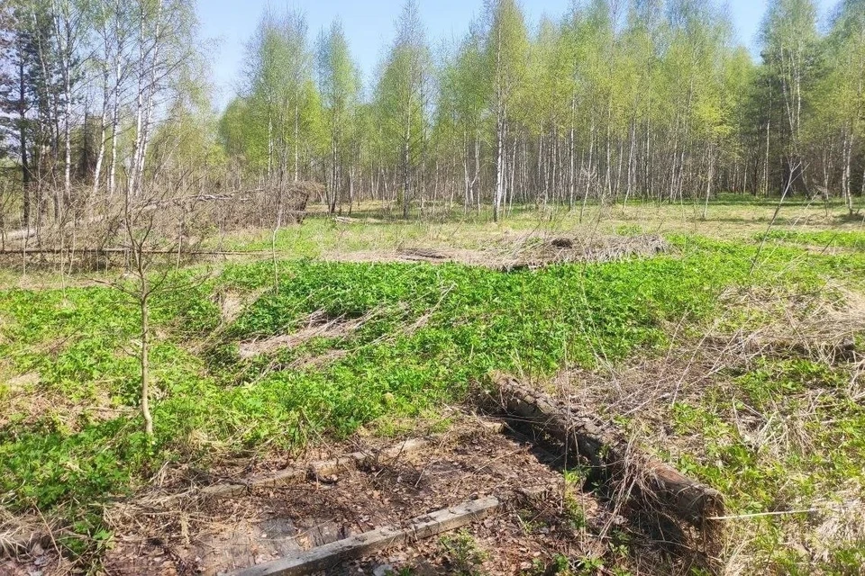 В Калужской области займутся ликвидацией опасных захоронений животных.