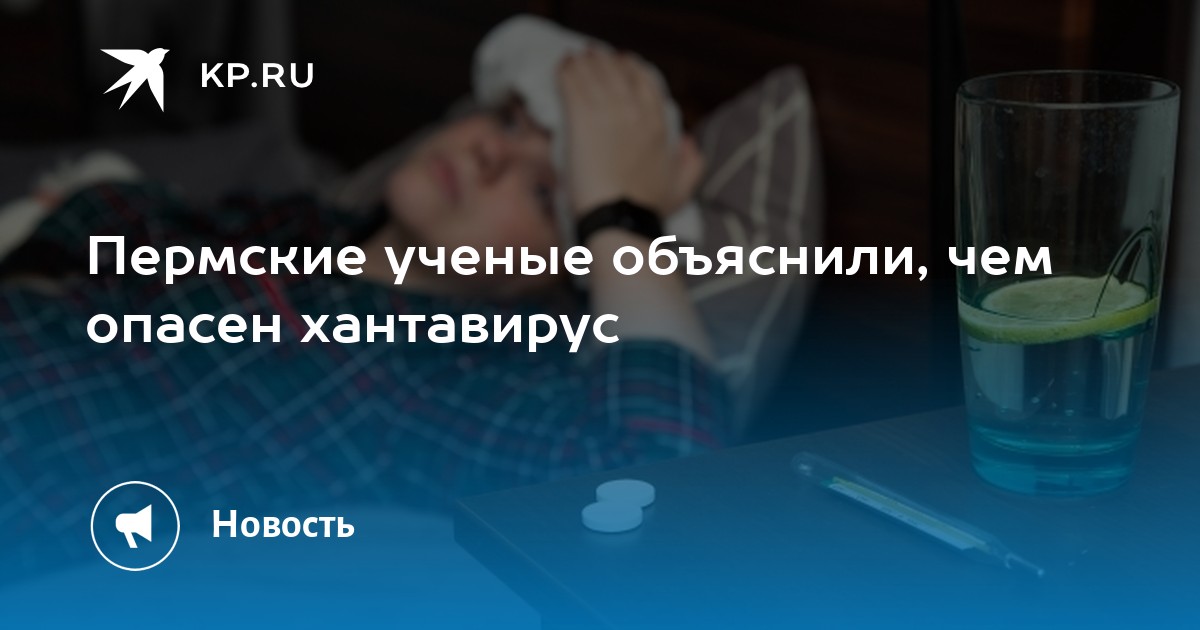 Пермские ученые объяснили, чем опасен хантавирус