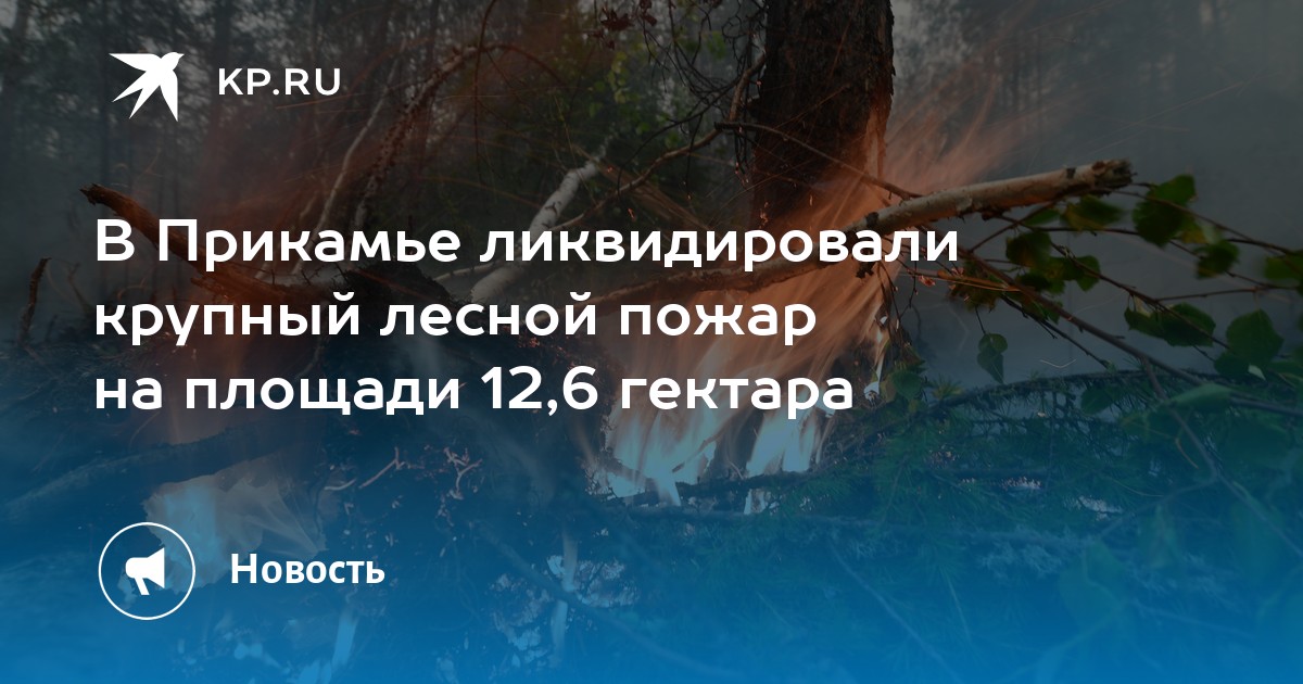 В Прикамье ликвидировали крупный лесной пожар на площади 12,6 гектара