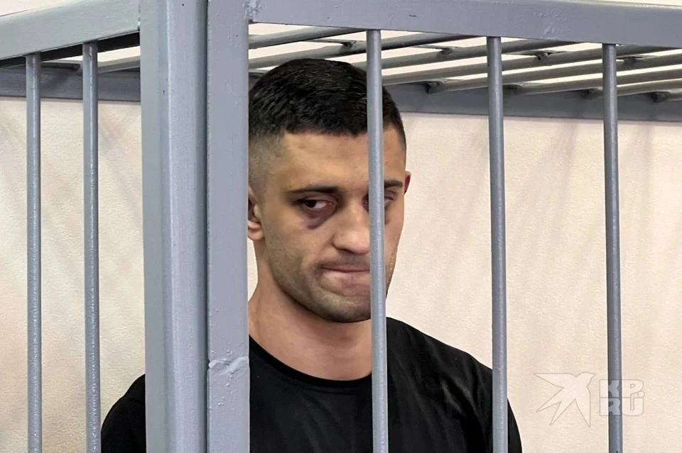 Роман Штадлер отделался исправительными работами