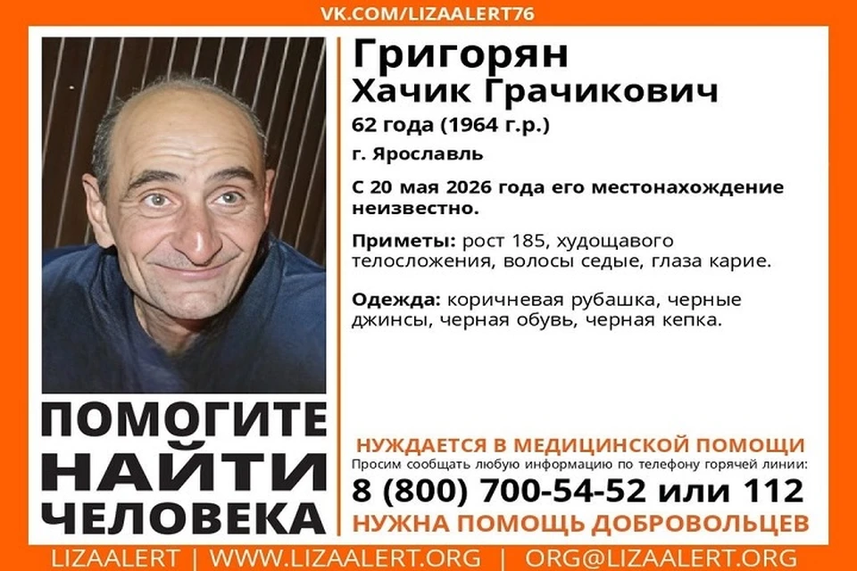 Пропавшего мужчину ищут второй день. Фото: Лиза Алерт Ярославль.