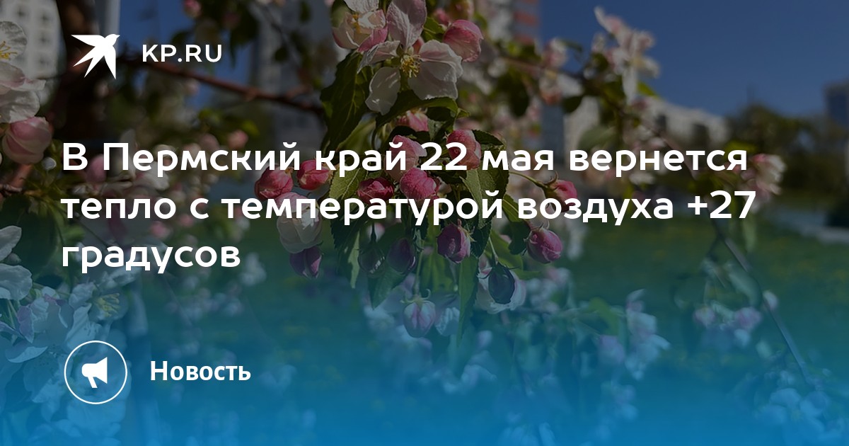 В Пермский край 22 мая вернется тепло с температурой воздуха +27 градусов