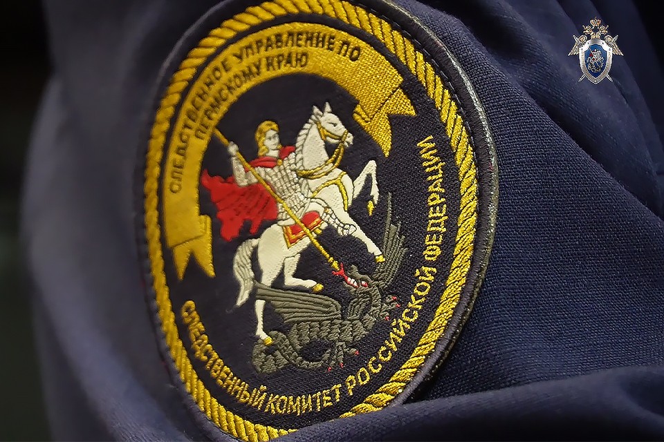 СК РФ возбудил уголовное дело по нападению в автобусе подростка на женщину