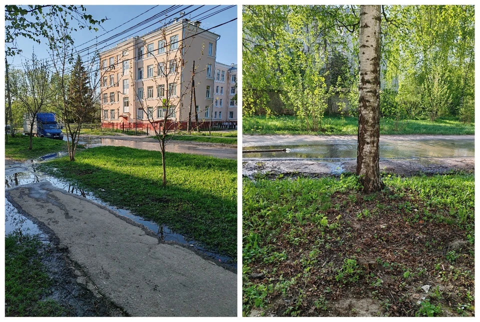 Канализационные ручьи бегут по улицам Дягилево. Автор фото: Алла Старова.