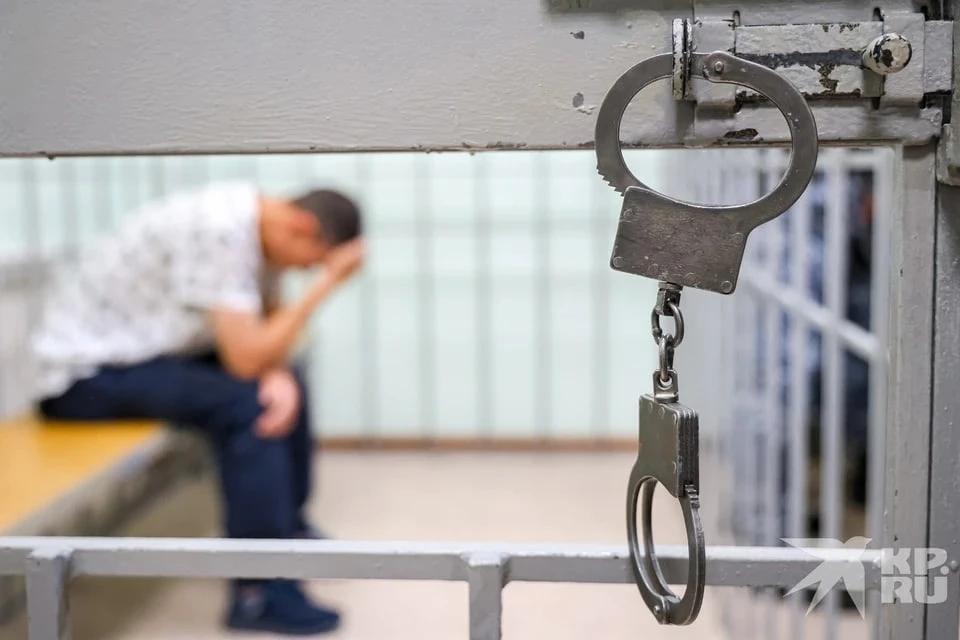 Суд арестовал мужчину, выманившего у жены экс-зампреда правительства Рязанской области 25 млн рублей.