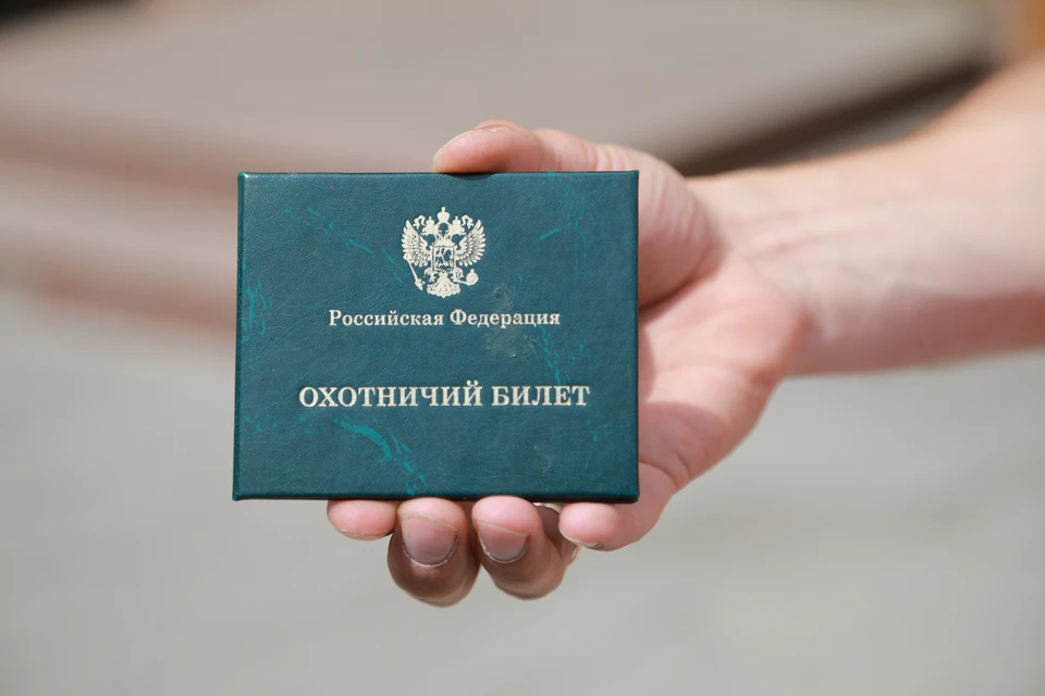 Охотники Краснодарского края получают разрешения