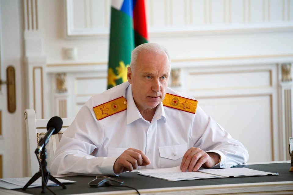 Бастрыкин потребовал доклад по делу о падении дерева на женщину и ребёнка в Перми