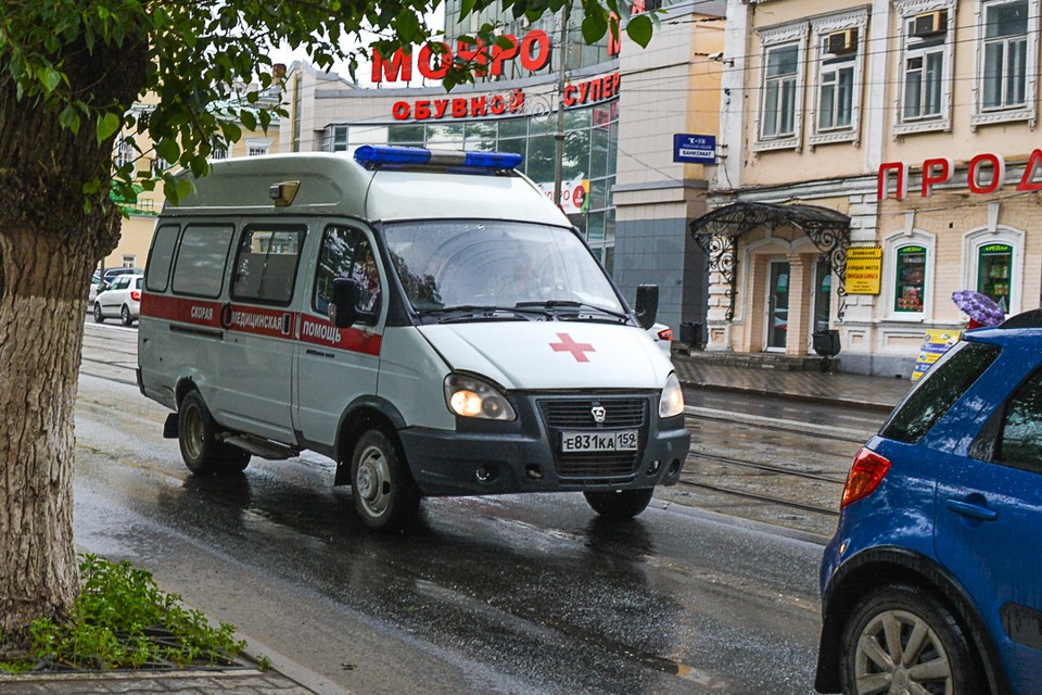 В Пермском крае на пляже девочку убило упавшим деревом