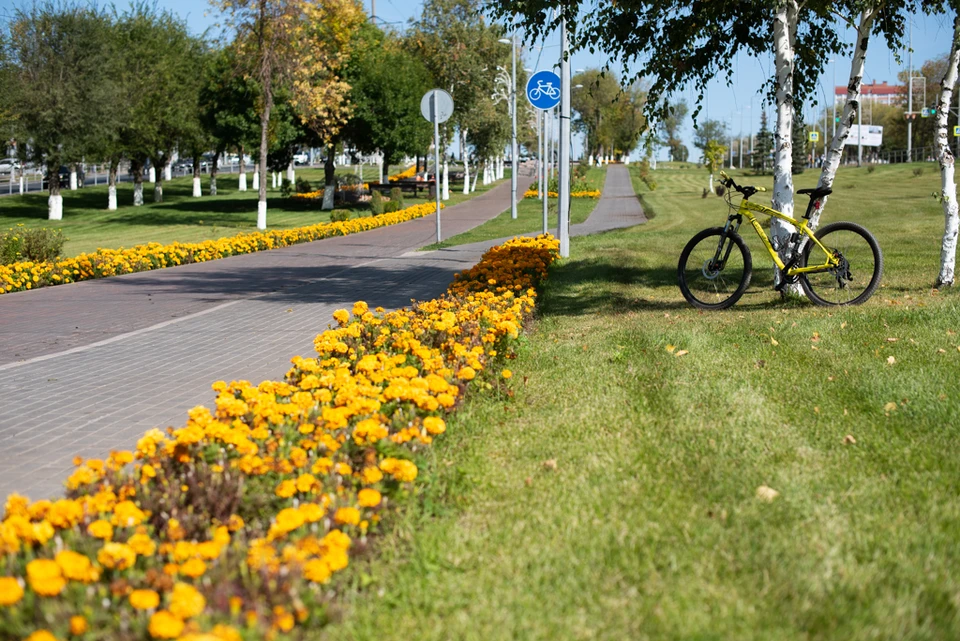 Впервые в этом году помимо городов Самарской области в голосовании участвуют 22 опорных населенных пункта.