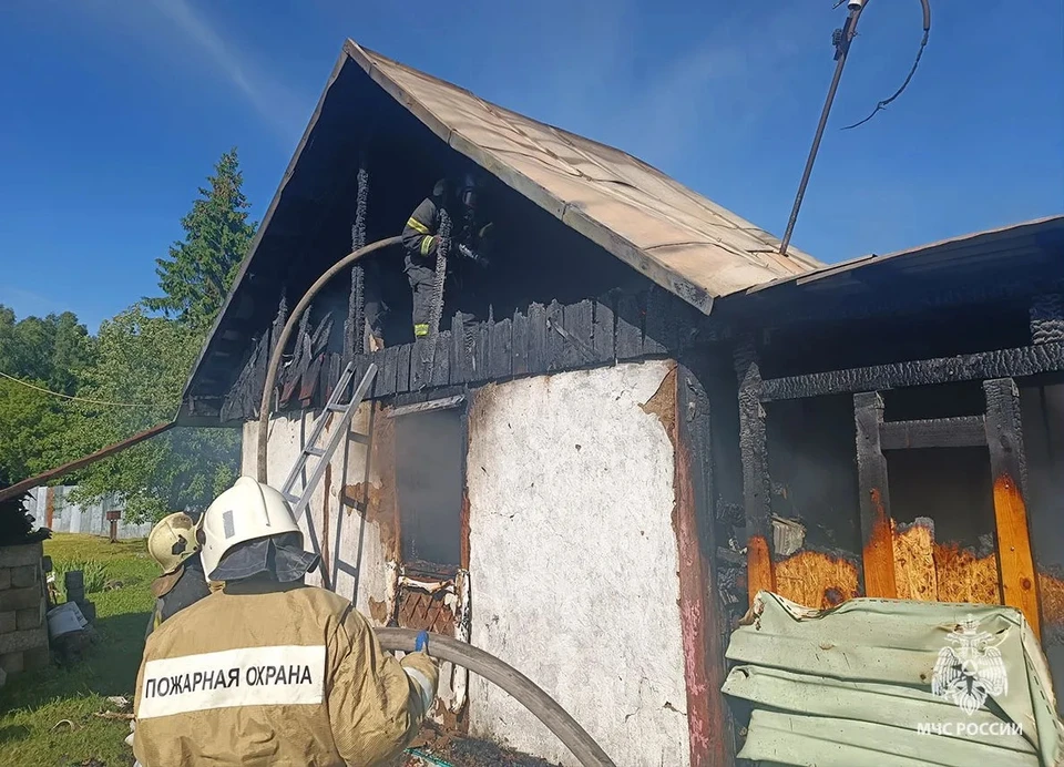 В Тульской области за прошедшие сутки ликвидировали три пожара.