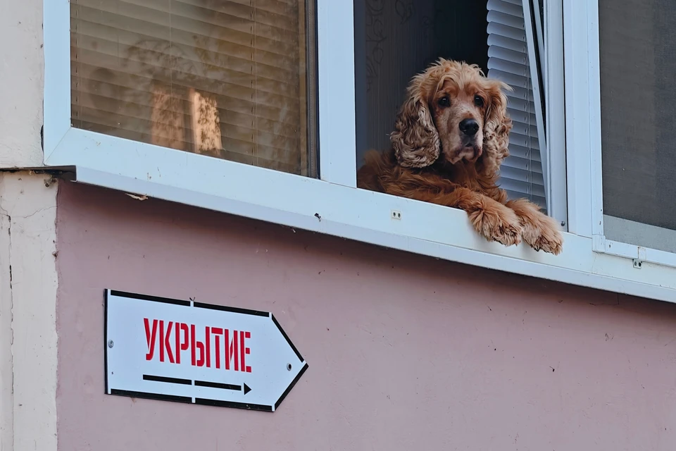 При нахождении в здании рекомендуется спуститься в укрытие.