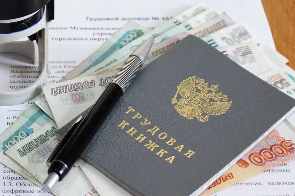 Через портал «Госуслуги» можно получить выписку из электронной трудовой книжки, которая заменяет бумажную форму. Фото: Архив Минтруда ДНР