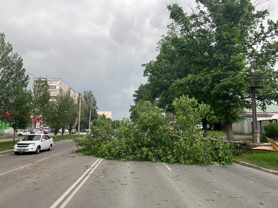 Фото: читатель КП