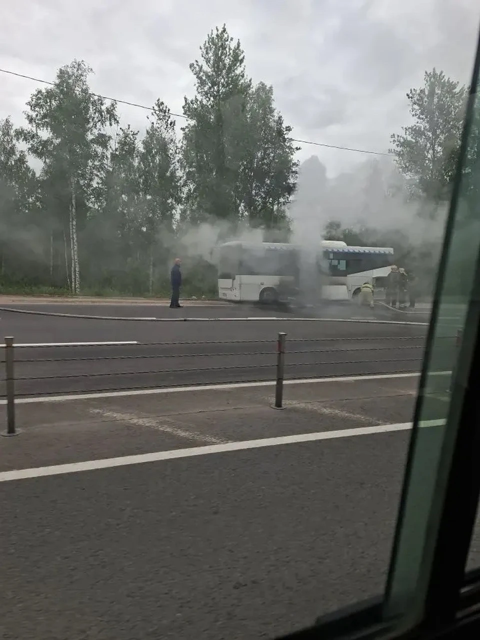 Фото: предоставлено очевидцами