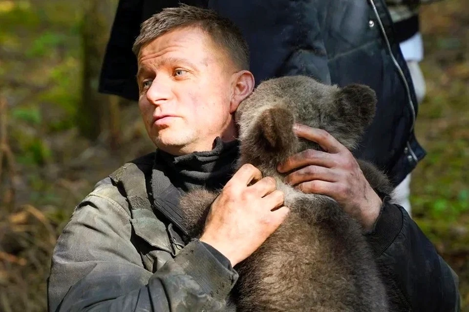 Актер Роман Курцын в фильме взаимодействует с медведями почти настолько же плотно, как Леонардо Ди Каприо в «Выжившем». Фото: «Киноцех»