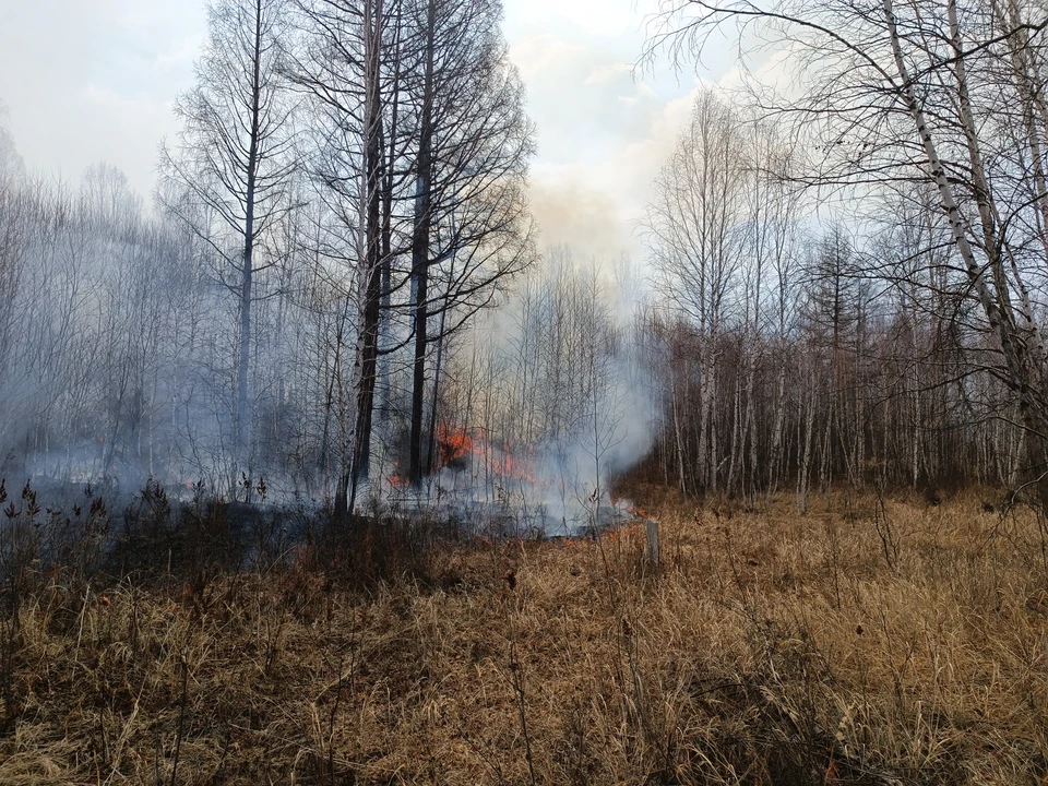 Природные очаги пожаров вспыхивают из-за жары