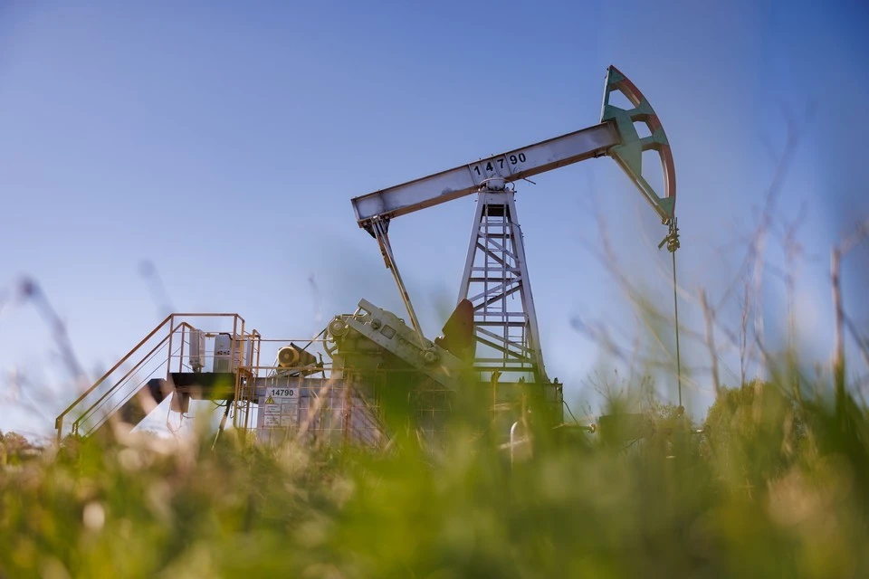 Ведущие страны ОПЕК+ собираются нарастить нефть на 188 тысяч баррелей в сутки относительно уровня в июне. Фото: Sergey Elagin/GLOBAL LOOK PRESS