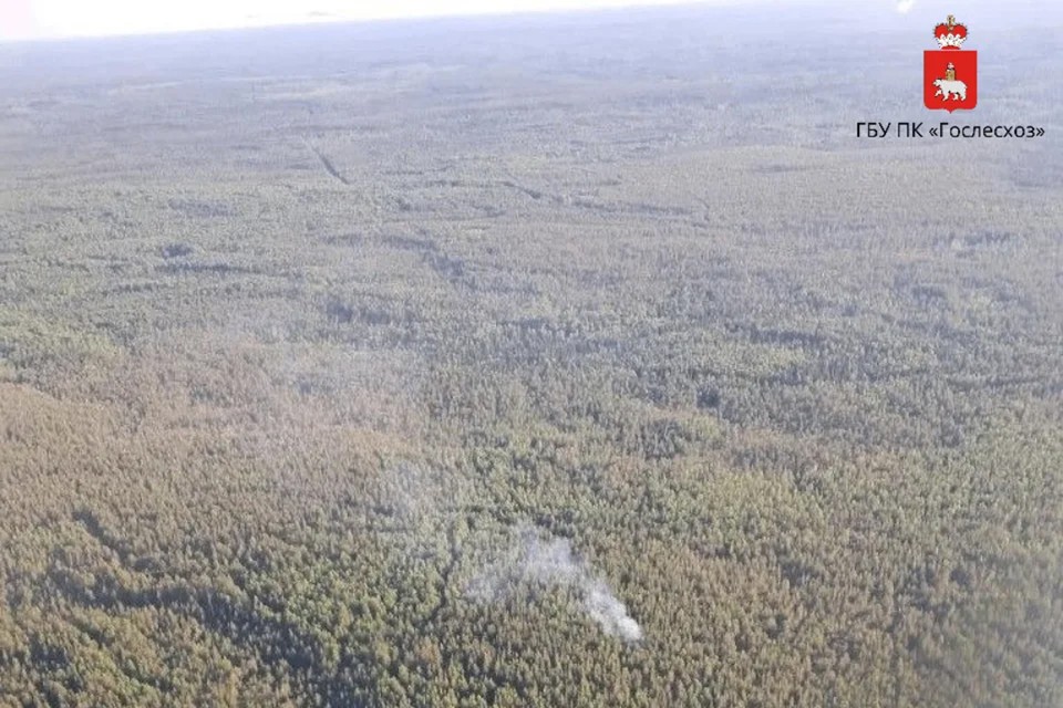 На севере Прикамья парашютисты-пожарные ликвидиров