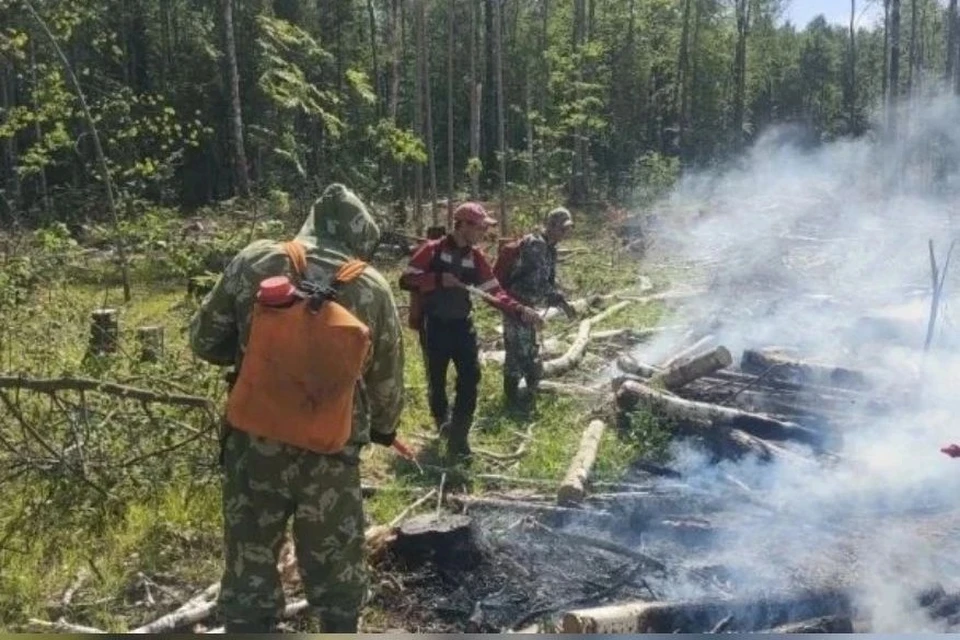 Фото: отдел Тевризское лесничество