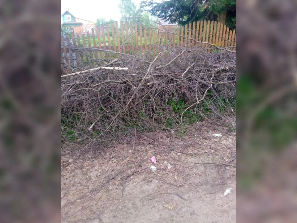 Народный фронт добился обещания убрать свалки, иначе обратятся в прокуратуру.