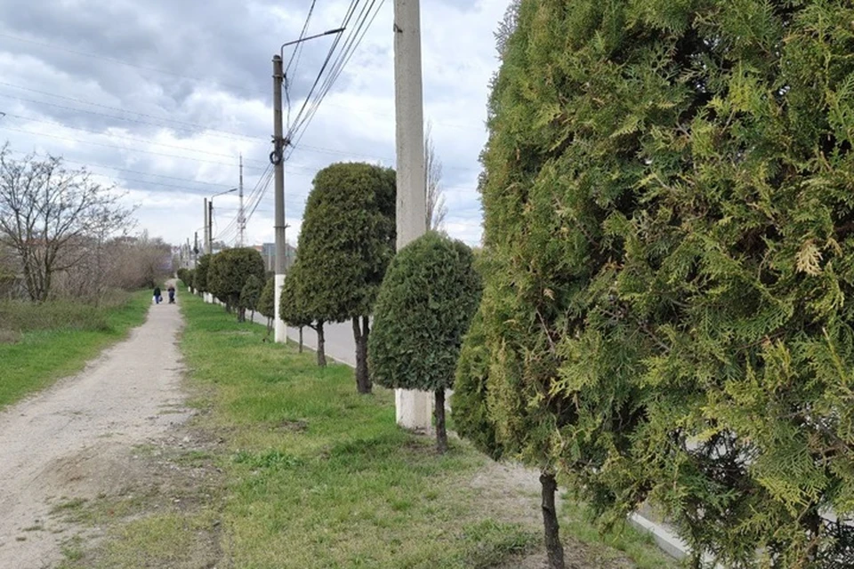 Лето в Запорожской области продолжает радовать стабильностью и отсутствием затяжных дождей