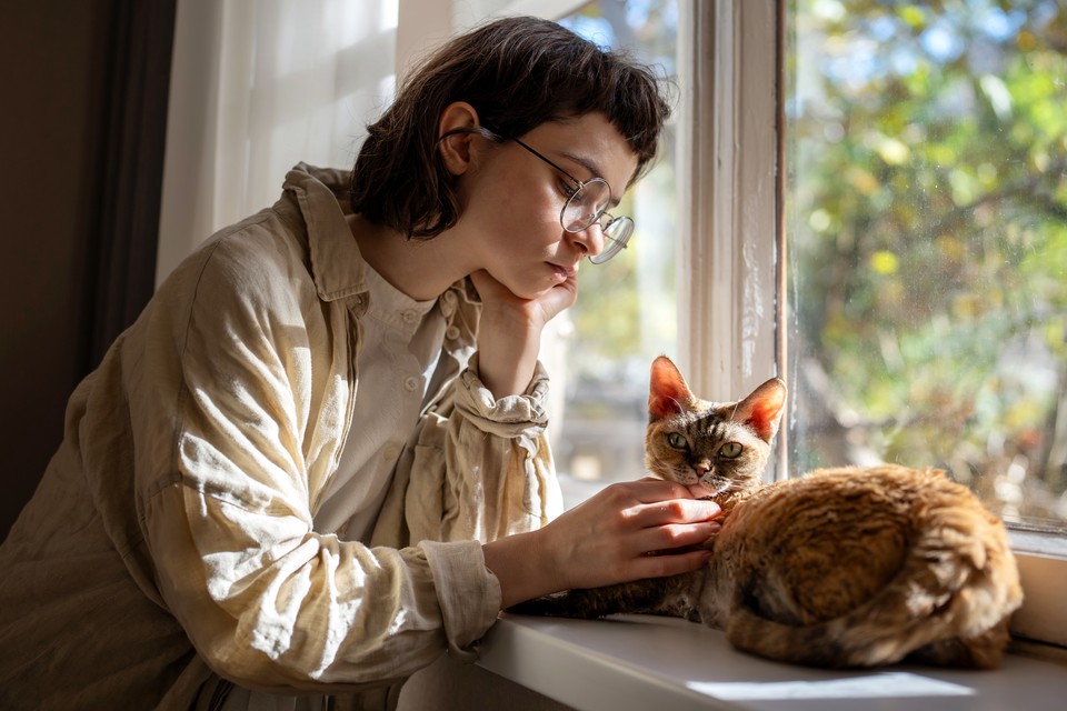 Кошка не снимает, а усугубляет стресс: ученые пришли к неожиданному выводу