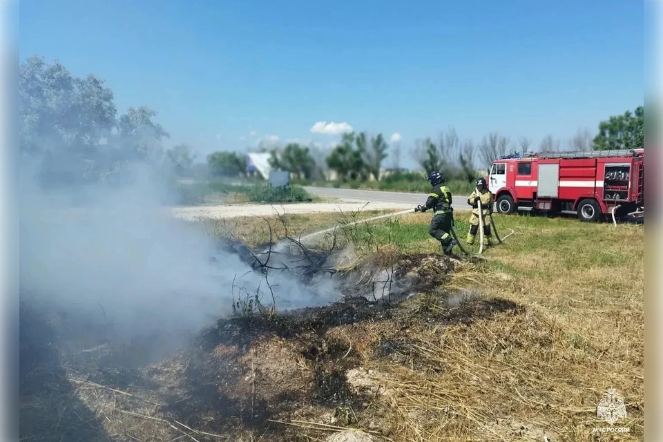 Ряд пожаров потушили в регионе за сутки. Фото: ГУ МЧС России по Запорожской области