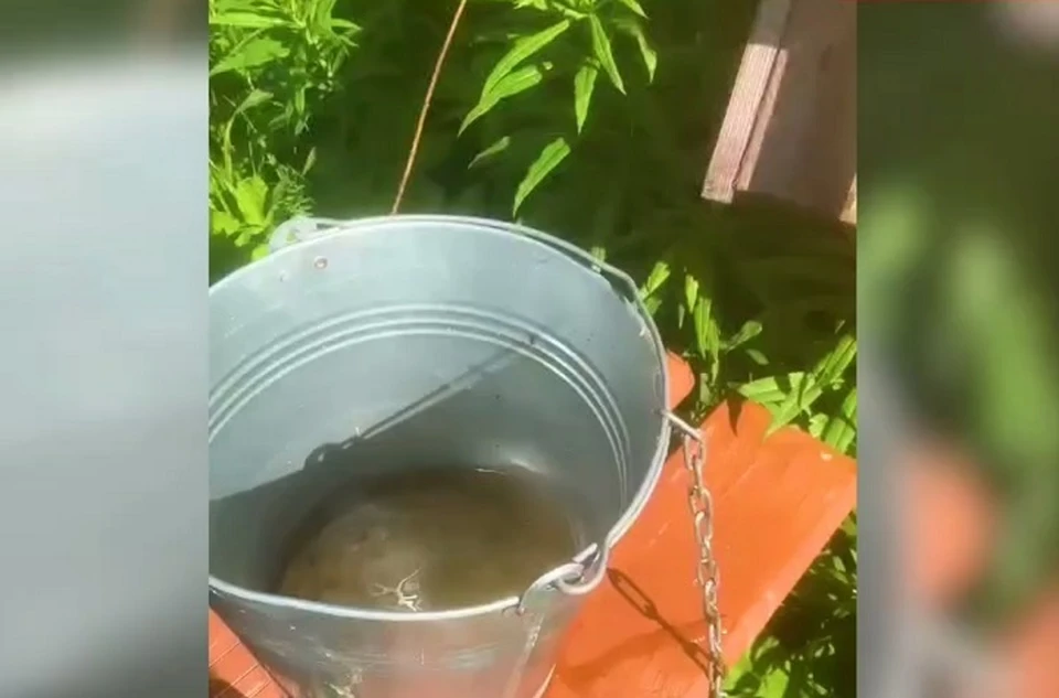 Жителям борисоглебского поселка приходится ездить за водой в соседние деревни. ФОТО: ОНФ по Ярославской области