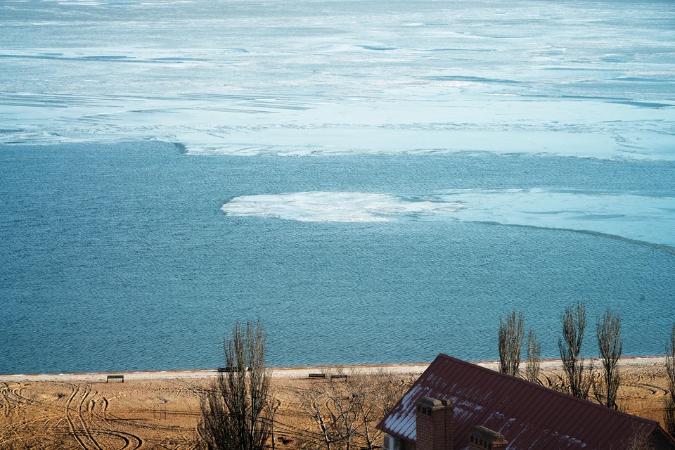 В июле-августе Азовское море с большой долей вероятности снова заполонят медузы
