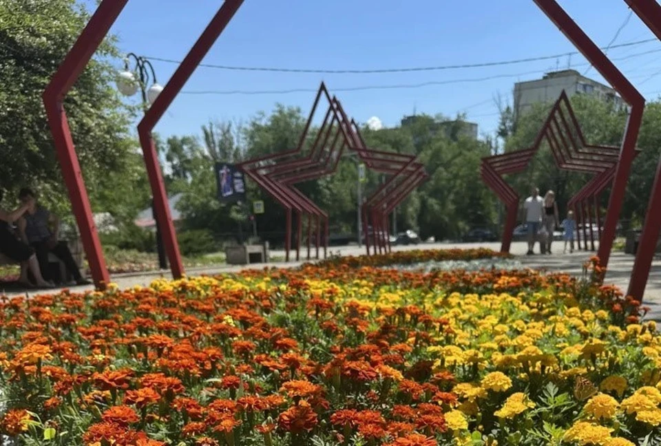Улицы и скверы Ростова украсили около миллиона ярких однолетних цветов. Фото: Городская администрация.