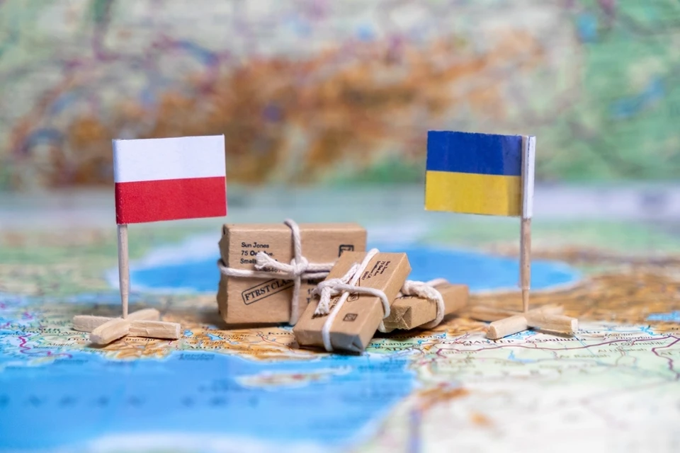 Польша вздрогнула не только от бандеролей с возвращенными наградами, но и от перспектив - поняли, какую змею пригрели на груди. Фото: aileenchik/Shutterstock/Fotodom