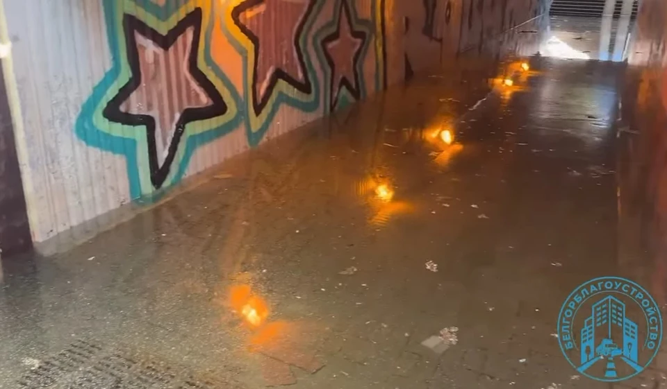 В Белгороде временно перекрыли подземный переход возле рынка «Семейный»