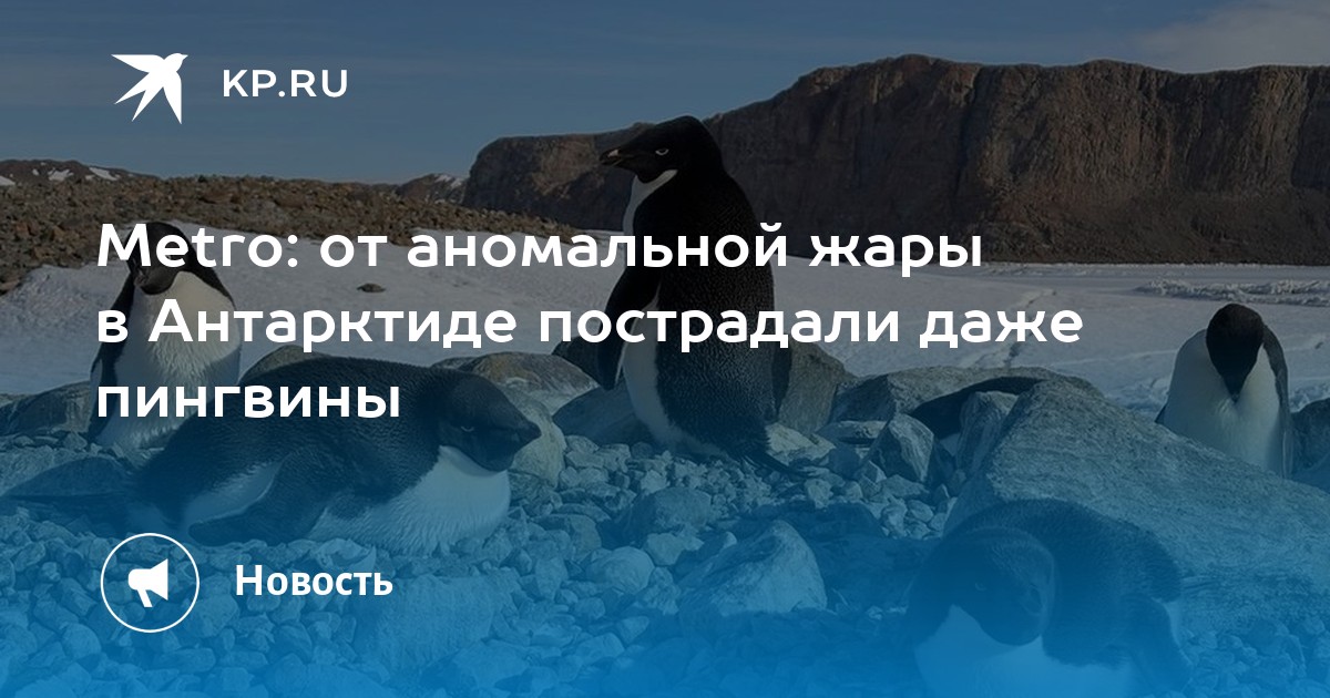 Антарктида переживает рекордное потепление в июне