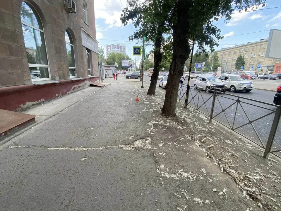 Женщину госпитализировали в больницу. Фото: ГАИ Новосибирской области.