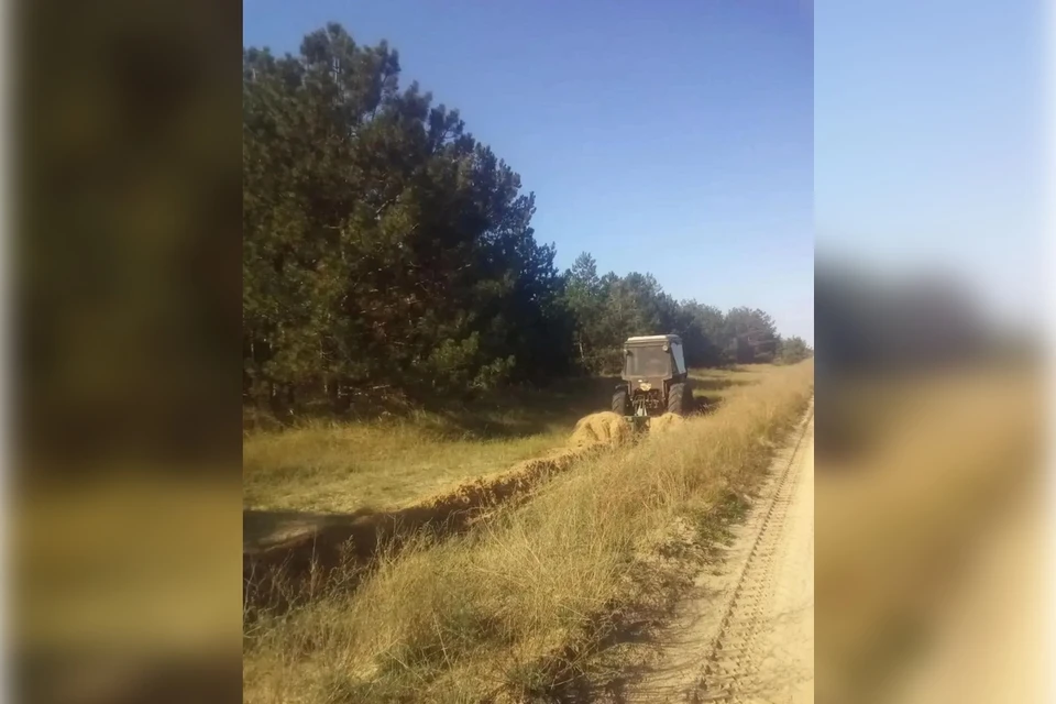 В Голопристанском лесхозе проводят минерализованные полосы. Фото: минприроды Херсонской области