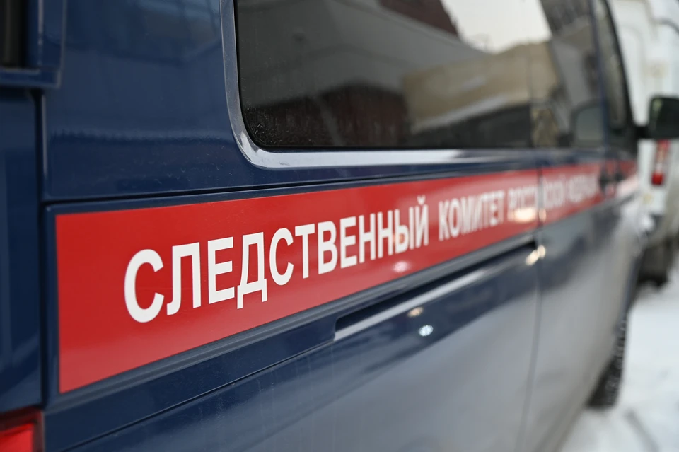 Возбуждено дело после обнаружения тела пропавшей 12-летней девочки в Ленобласти