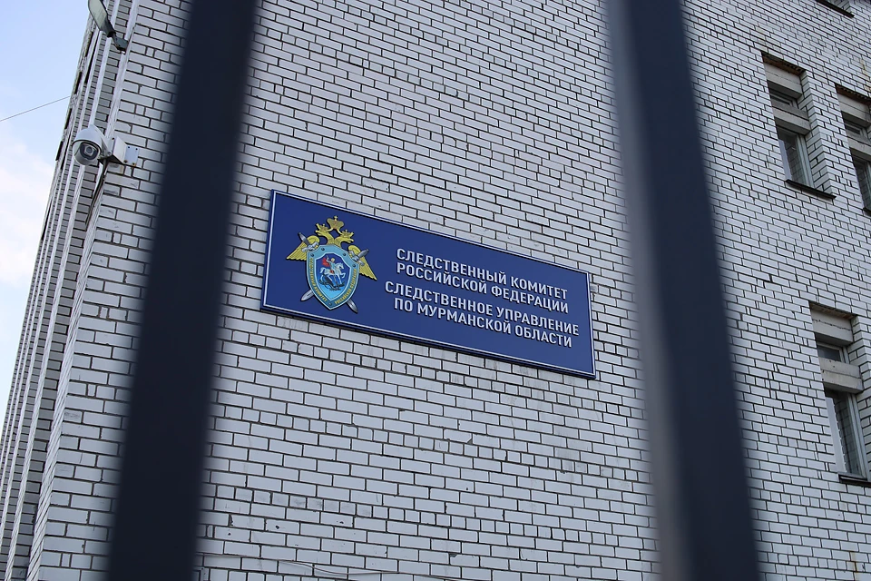 16 июня два человека в темной одежде и масках набросились на 13-летнюю девочку в одном из дворов проезда Бабикова.