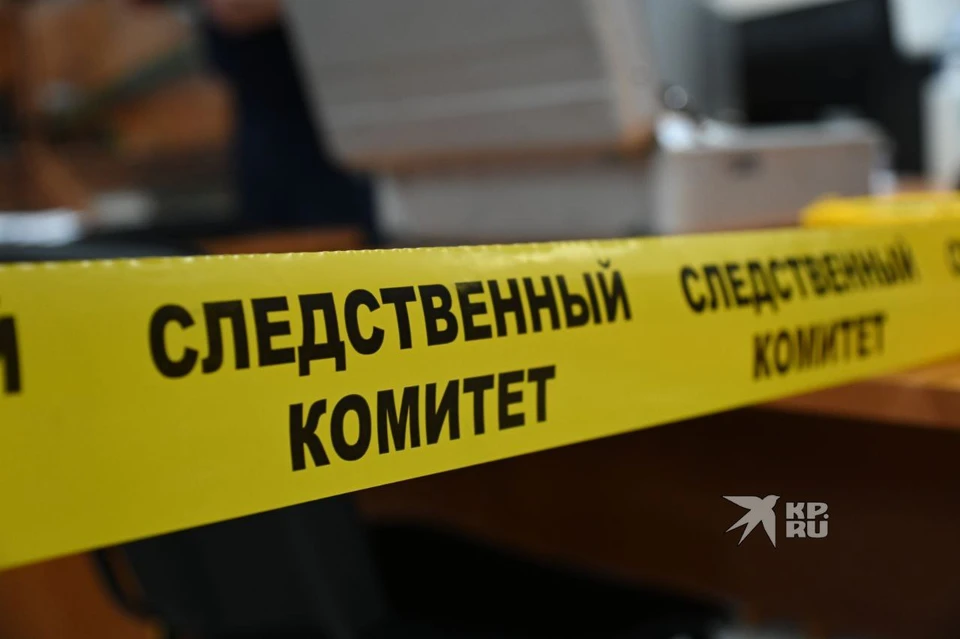 По факту произошедшего было возбуждено уголовное дело