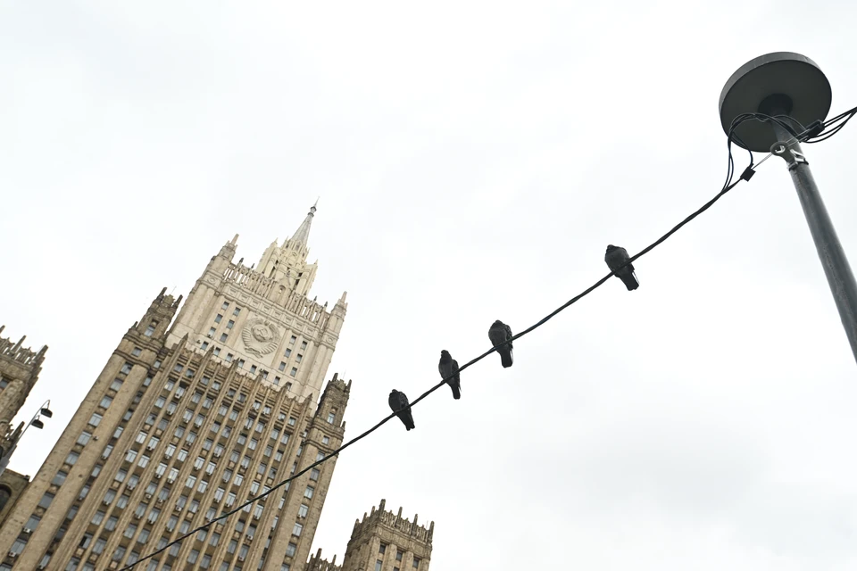 Лавров: Россия поддерживает Нигер в борьбе со спонсируемым Западом терроризмом