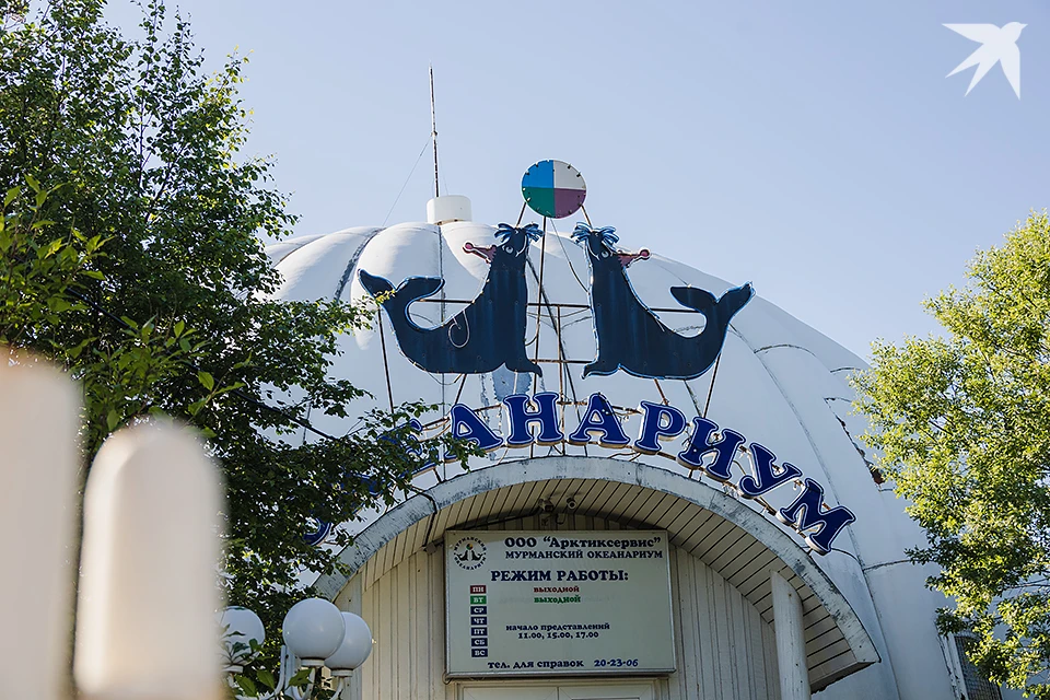 В океанариуме отмечают, что вопрос сохранения учреждения остается сложным и требует времени.