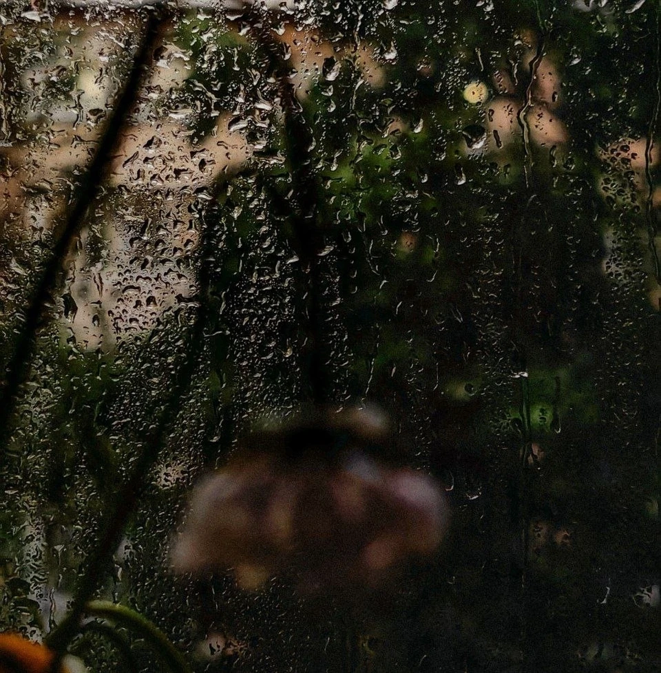 Фото: Ольга Григорьева